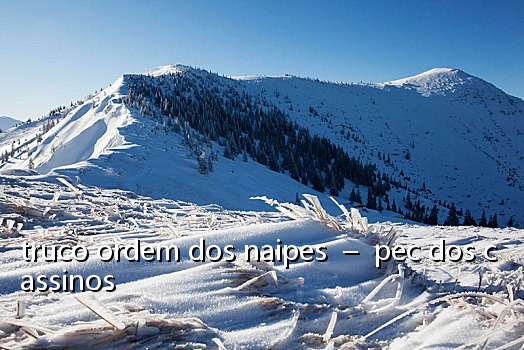truco ordem dos naipes - pec dos cassinos