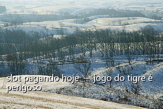 slot pagando hoje - jogo do tigre é perigoso