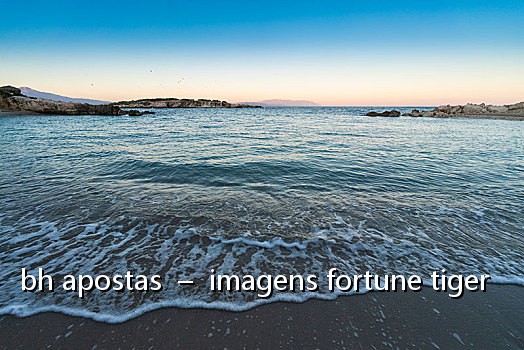 bh apostas - imagens fortune tiger