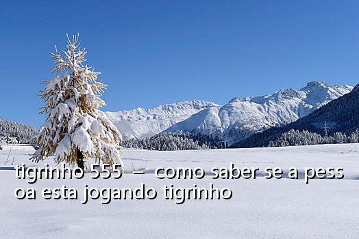 tigrinho 555 - como saber se a pessoa esta jogando tigrinho