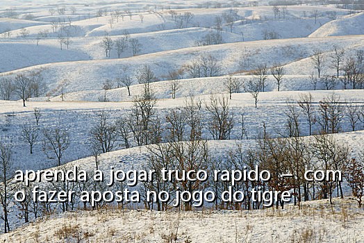 aprenda a jogar truco rapido - como fazer aposta no jogo do tigre