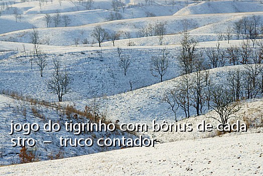 jogo do tigrinho com bônus de cadastro - truco contador