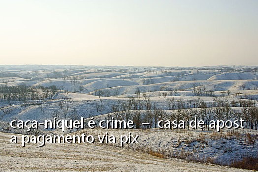 caça-níquel é crime - casa de aposta pagamento via pix
