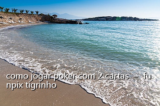 como jogar poker com 2 cartas - funpix tigrinho