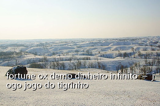 fortune ox demo dinheiro infinito - jogo jogo do tigrinho
