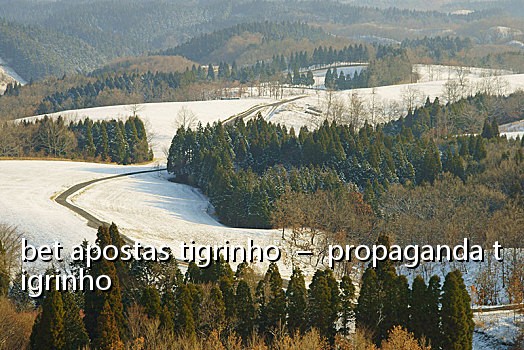 bet apostas tigrinho - propaganda tigrinho
