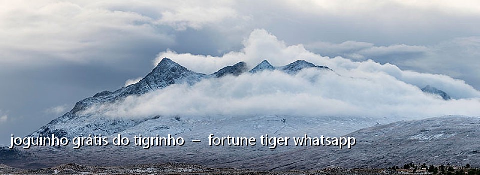 joguinho grátis do tigrinho - fortune tiger whatsapp