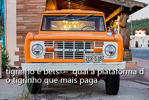 tigrinho é bets - qual a plataforma do tigrinho que mais paga