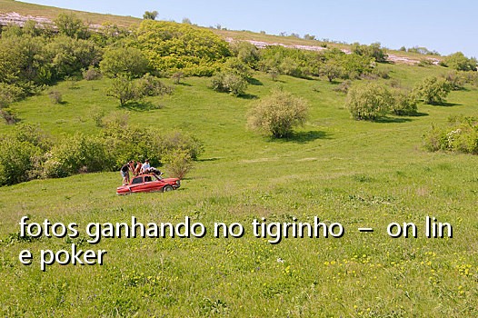fotos ganhando no tigrinho – on line poker