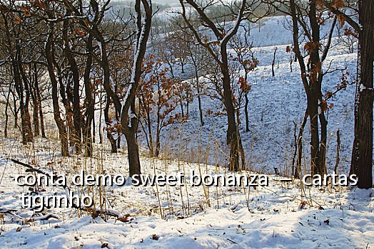conta demo sweet bonanza  –  cartas tigrinho