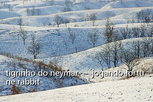 tigrinho do neymar – jogando fortune rabbit