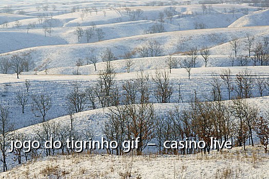 jogo do tigrinho gif  –  casino live