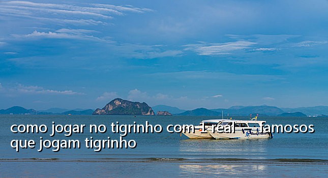 como jogar no tigrinho com 1 real – famosos que jogam tigrinho