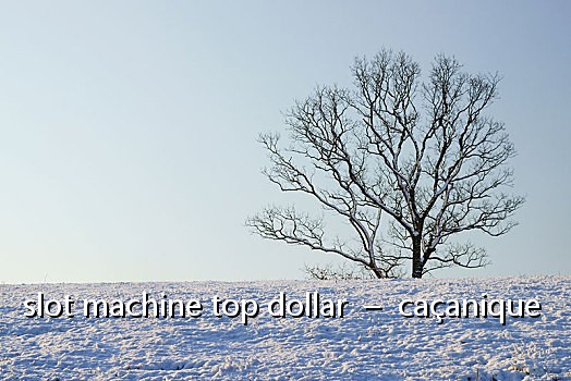 slot machine top dollar – caçanique