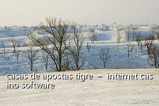 casas de apostas tigre  –  internet casino software