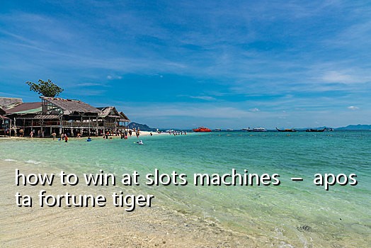 how to win at slots machines – aposta fortune tiger