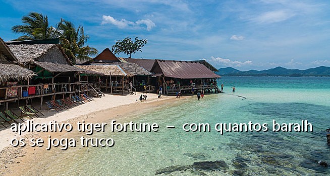 aplicativo tiger fortune  –  com quantos baralhos se joga truco