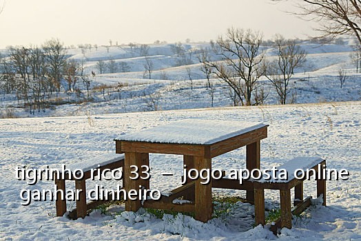tigrinho rico 33  –  jogo aposta online ganhar dinheiro